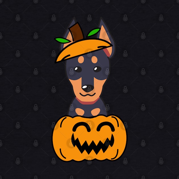 Funny alsatian is in a pumpkin by Pet Station